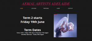 aerial artists in adelaide