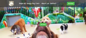 dogs hq day care center in melbourne