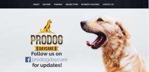 pro dog doggy care center in melbourne