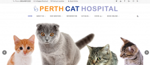Dr. Martine van Boeijen - Perth Cat Hospital