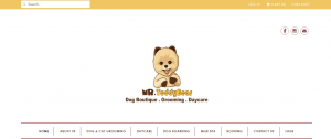 mr. teddy bear doggy day care in brisbane