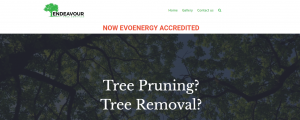 endeavor tree services in canberra
