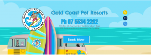 gold coast pet resort