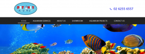 pet only aquarium shop in canberra