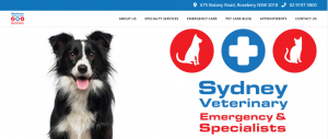 sydney veterinary emergency specialists
