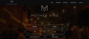the mother vine bar in adelaide