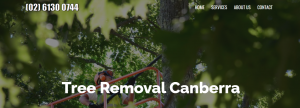 tree removal canberra
