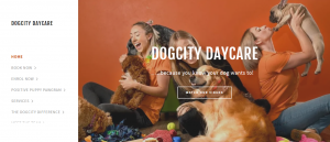 dogcity daycare in adelaide