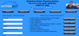 gutterboy services in sydney
