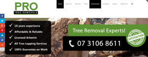 pro tree removals in brisbane