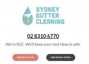 sydney gutter cleaning services