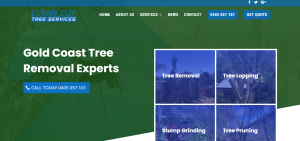 clean cut tree services in gold coast