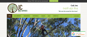 jc tree services in gold coast
