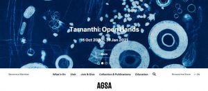 art gallery of south australia in adelaide