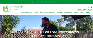 all aspects pest control in gold coast