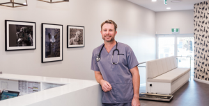the point veterinarian in gold coast