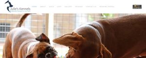 Julie's Kennels doggy daycare in Perth