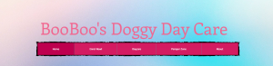 BooBoo's Doggy Daycare in Perth