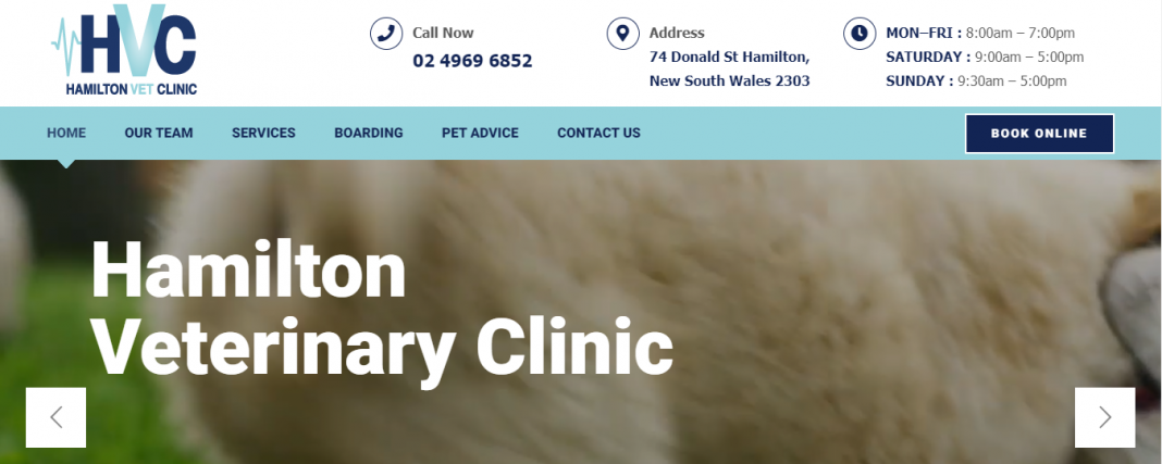 5 Best Veterinarian Practices in Newcastle 🥇