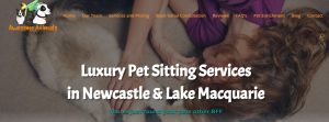 Awesome Animal Pet Care in Newcastle