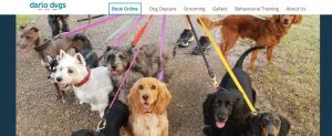 Darlo Dogs Pet Care in Sydney