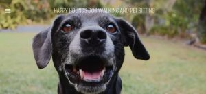 Happy Hounds Dog Walking and Pet Sitting in Gold Coast