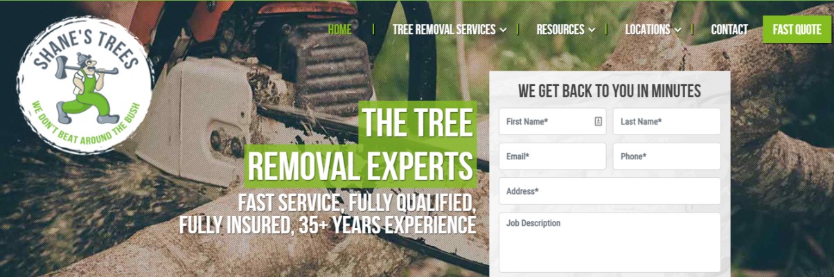 Arborists Hornsby trees