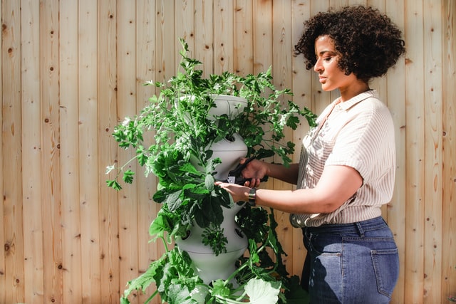 A woman trimming plants from a garden gift store online.