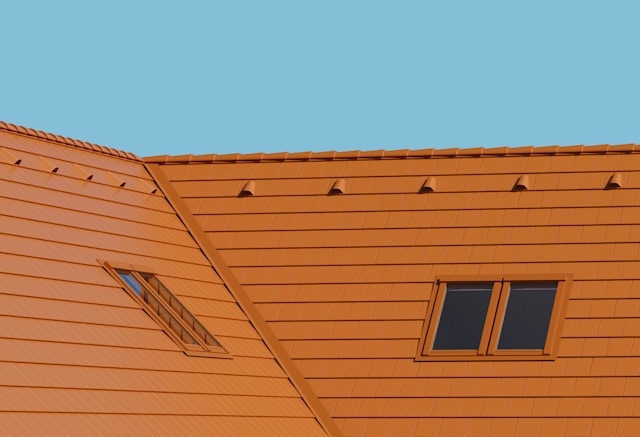 Roof Cleaning